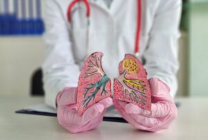 doutor mostrando um pulmão ilustrativo