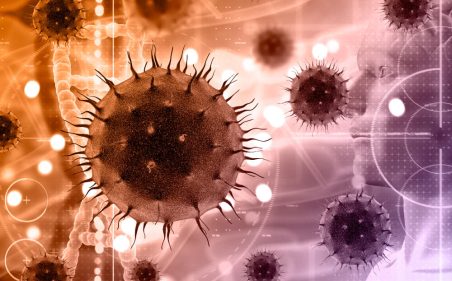 13% dos cânceres têm como causa infecções por vírus e bactérias